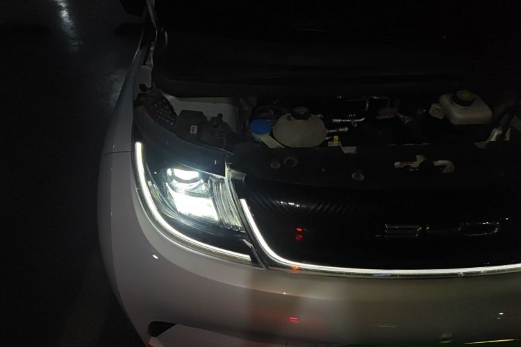 比亚迪 海豚 2021款 401km 骑士版局部细节9006