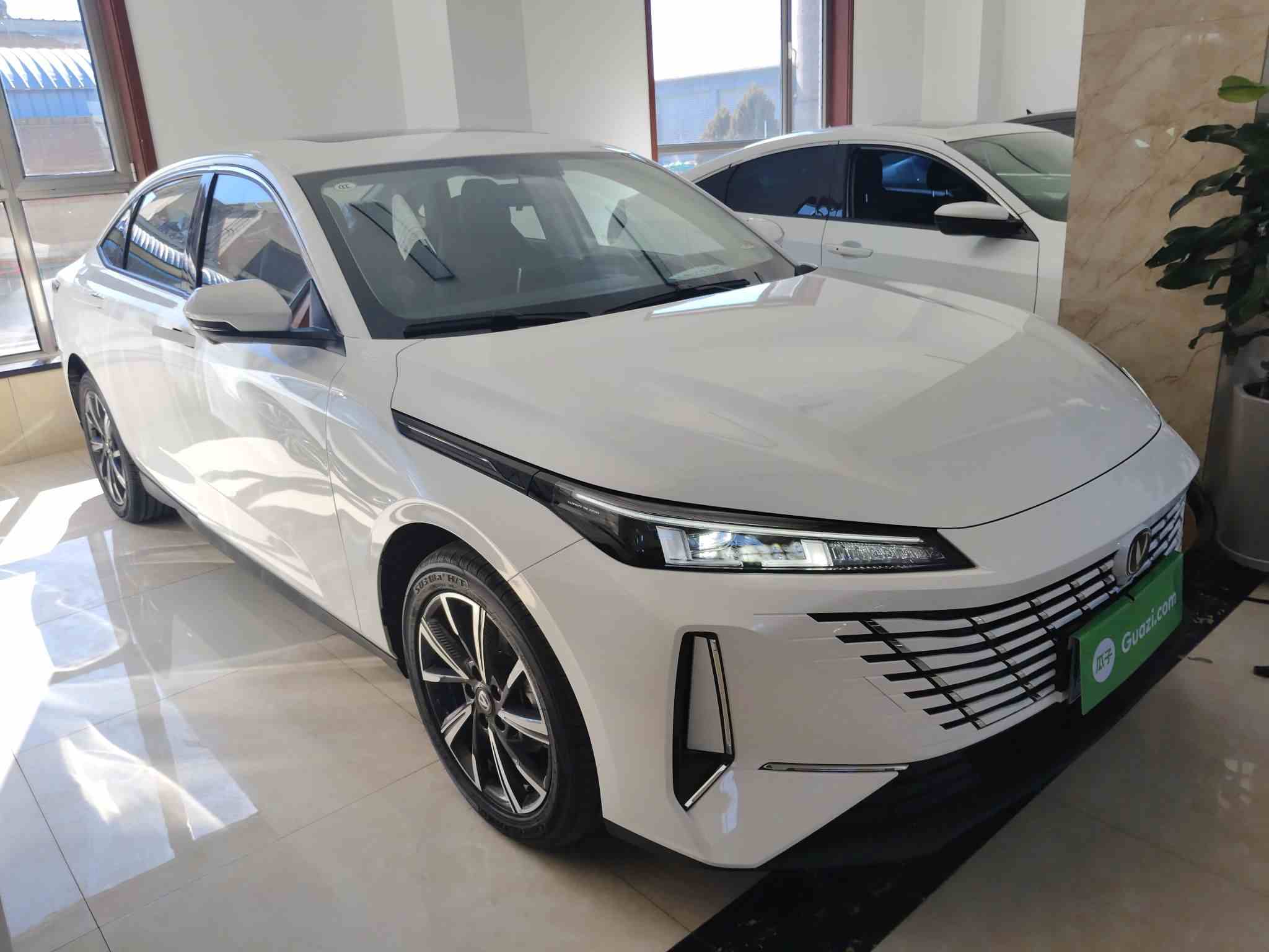 长安 逸动 2024款 1.5T GDI自动 尊贵型(5)