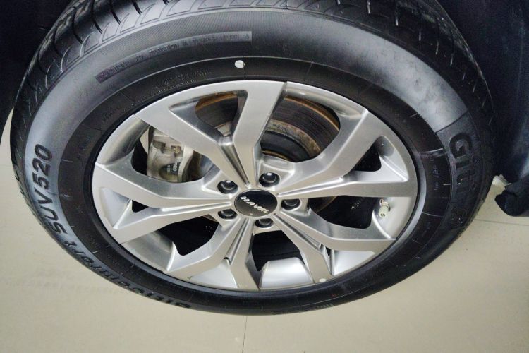 哈弗H6 2021款 国潮版 1.5T 自动冠军版车身外观6008