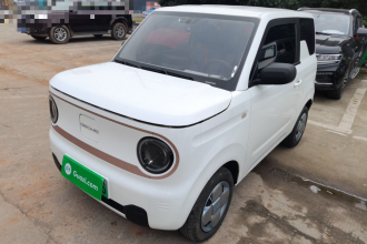 吉利银河 2024款 熊猫mini 200km 耐力熊