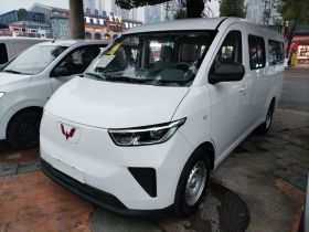 五菱汽车 五菱扬光 2024款 300KM 舒适型客车版 75kW
