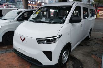 五菱汽车 五菱扬光 2024款 300KM 舒适型客车版 75kW