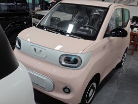 五菱汽车 宏光MINIEV 2024款 第三代 215km 青春版