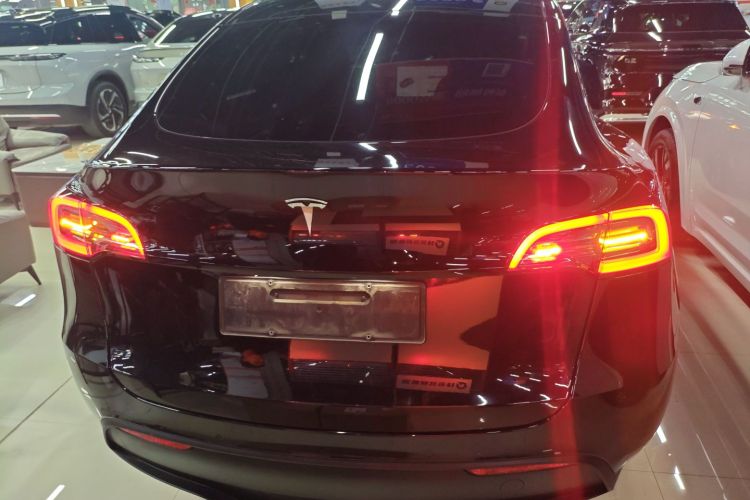 特斯拉 Model Y 2021款 标准续航后驱版车身外观6