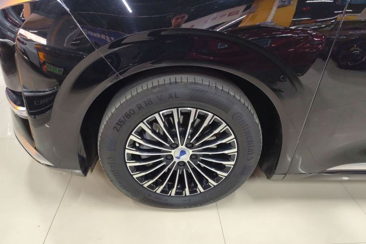 腾势D9 2024款 DM-i 1050 尊享型车身外观6007