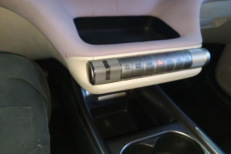 比亚迪 海豚 2021款 401km 骑士版局部细节18