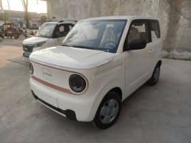 吉利银河 2024款 熊猫mini 200km 耐力熊