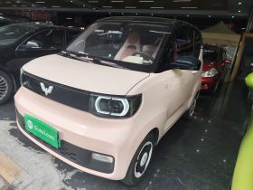 五菱汽车 宏光MINIEV 2021款 马卡龙臻享款 磷酸铁锂