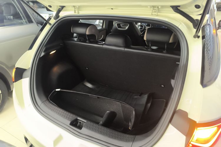 比亚迪 海豚 2023款 420km 自由版机舱底盘23