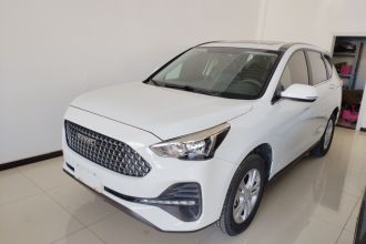 哈弗M6 2019款 1.5T DCT两驱超值版 国VI