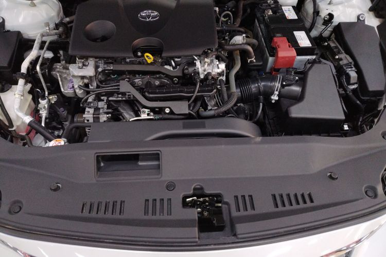 丰田 亚洲龙 2019款 2.0L 豪华版 国VI机舱底盘24