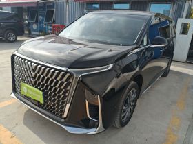 上汽大通MAXUS 大通G90 2022款 2.0T 星际六座版