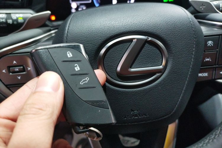 雷克萨斯RZ 2023款 450e 四驱纵享版中控内饰11