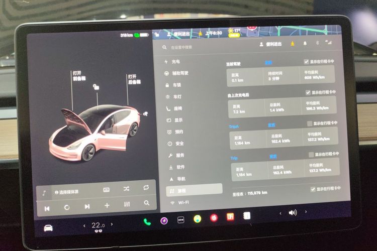 特斯拉 Model 3 2021款 改款 标准续航后驱升级版 3D1中控内饰14