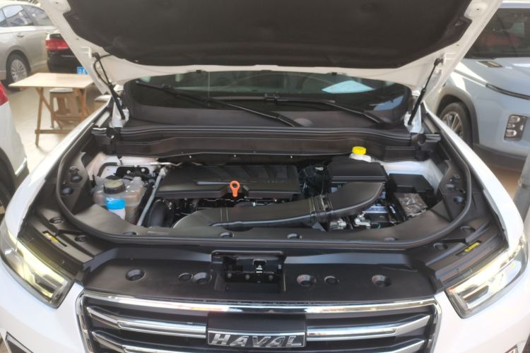 哈弗H6 2020款 1.5GDIT 自动铂金冠军版局部细节24