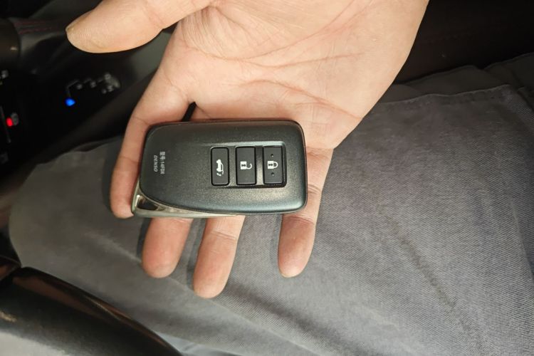 雷克萨斯RX 2020款 改款 300 四驱典雅版中控内饰7001