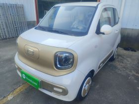 奔腾小马 2025款 222km 闪电马