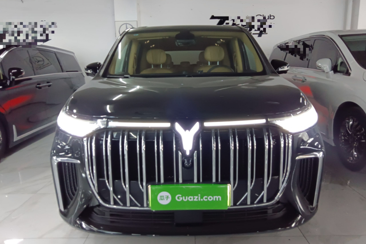 岚图汽车 岚图梦想家 2022款 低碳版 家车身外观2