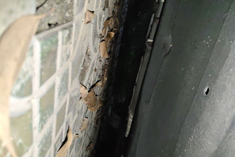 东风风行 风行游艇 2022款 1.5T DCT揽月版局部细节9004