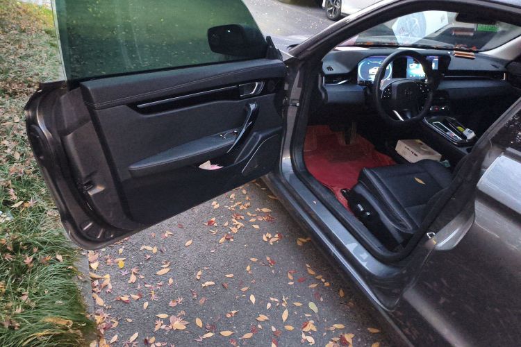 零跑汽车 零跑S01 2020款 460 标准版中控内饰20