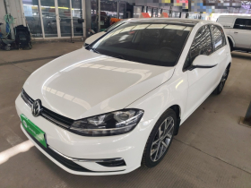 大众 高尔夫 2020款 挚爱版 280TSI DSG舒适型