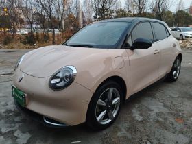 欧拉好猫 2021款 400km标准续航 雅典娜版 三元锂