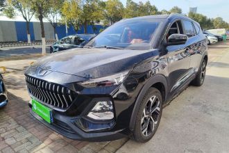 思皓X8 2021款 300T DCT领先智联版 7座