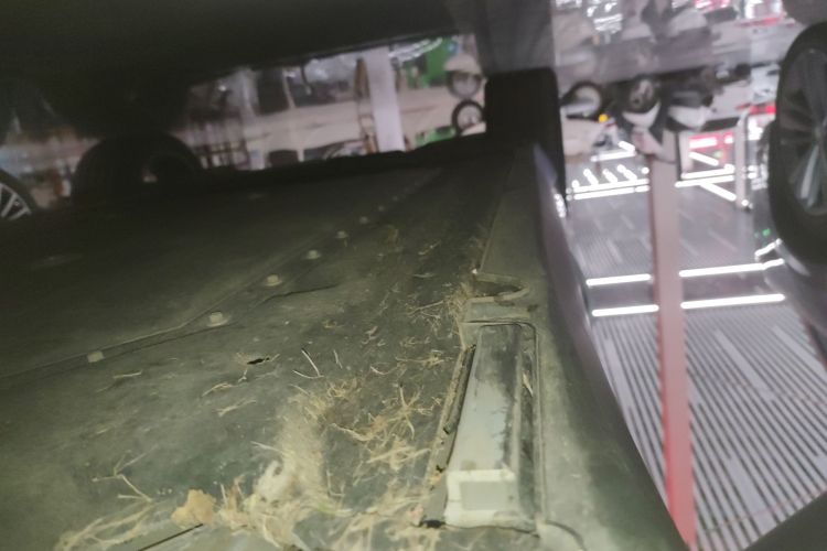 零跑汽车 零跑C16 2026款 增程 280激光雷达智尊版 5座局部细节9001