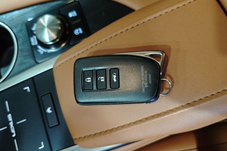 雷克萨斯RX 2020款 300 两驱舒适版 国VI中控内饰7001