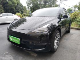 特斯拉 Model Y 2021款 长续航全轮驱动版 3D7