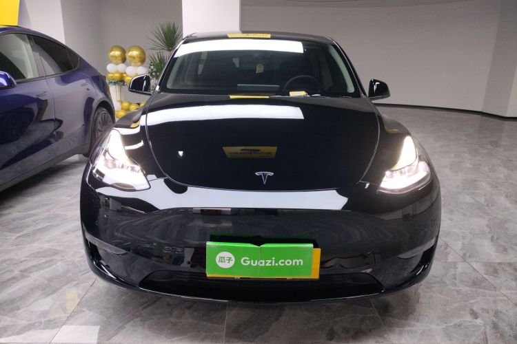 特斯拉 Model Y 2021款 Performance高性能全轮驱动版车身外观2