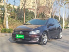 大众 高尔夫 2016款 230TSI 自动舒适型