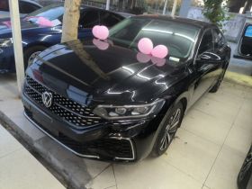 大众 帕萨特 2022款 330TSI 星空豪华版