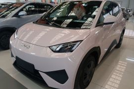 比亚迪 海鸥 2025款 智驾版 305km 活力版