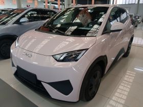 比亚迪 海鸥 2025款 智驾版 305km 活力版