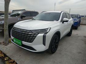 哈弗H6 2024款 1.5T 两驱Pro