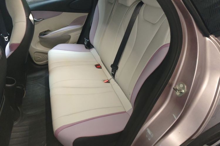 比亚迪 海豚 2021款 405km 时尚版中控内饰7004