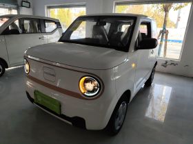 吉利银河 2024款 熊猫mini 200km 耐力熊
