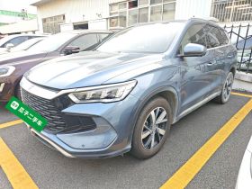 比亚迪 宋Pro新能源 2023款 冠军版 DM-i 71KM领航型