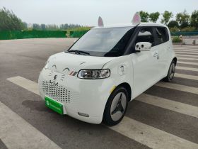 欧拉白猫 2020款 360km 豪华型