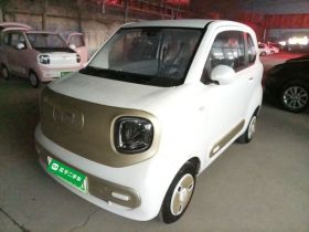 奔腾小马 2025款 222km 闪电马