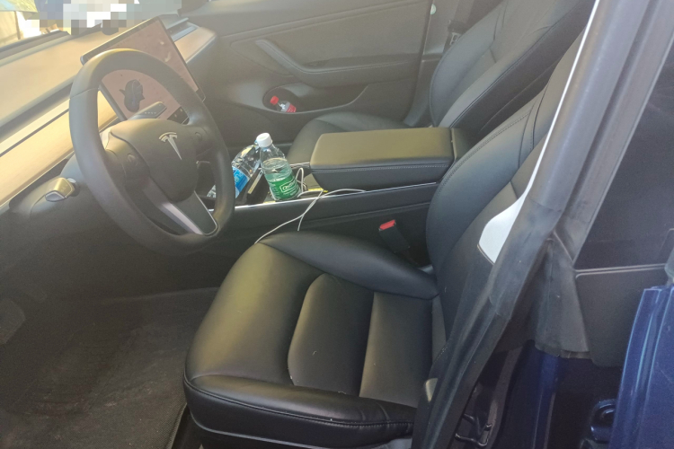 特斯拉 Model 3(进口) 2019款 标准续航后驱升级版(52度)中控内饰19