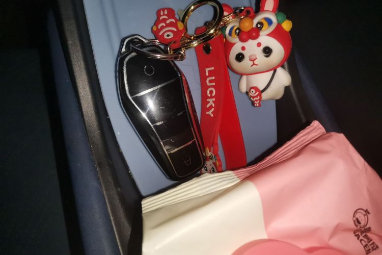 比亚迪 海鸥 2023款 自由版中控内饰11