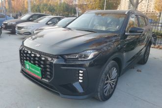 捷途X70 C-DM 2024款 陆航版PRO 7座