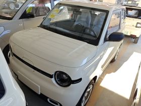 吉利银河 熊猫 2025款 210km 元气熊