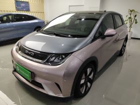 比亚迪 海豚 2021款 401km 骑士版