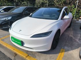 特斯拉 Model 3 2023款 后轮驱动版