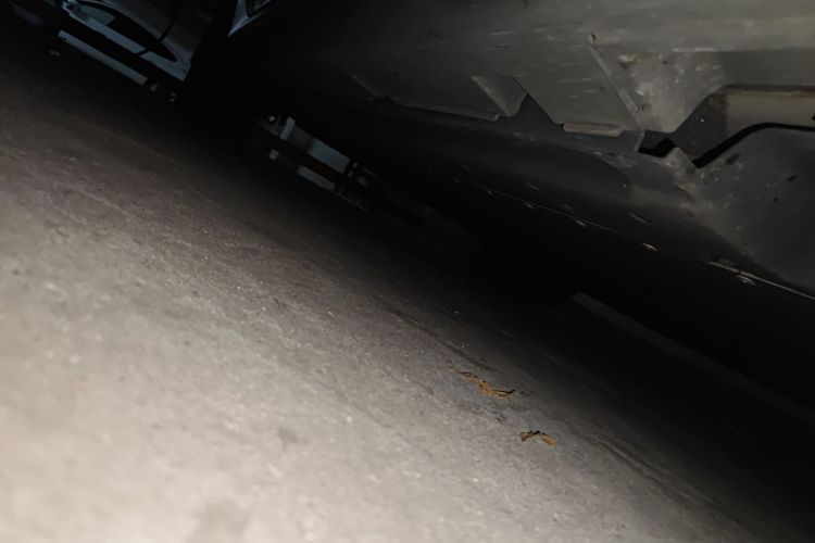 比亚迪 秦PLUS 2025款 EV 智驾版 510KM领先型局部细节9001