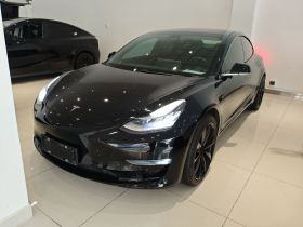 特斯拉 Model 3(进口) 2019款 Performance高性能全轮驱动版