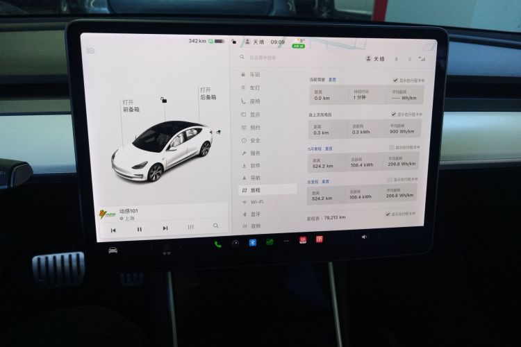 特斯拉 Model 3(进口) 2019款 Performance高性能全轮驱动版中控内饰14